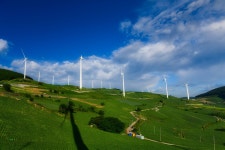 베스트갤러리 - 매봉산