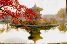 베스트갤러리 - 향원정