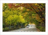 베스트갤러리 - 미사 경정공원