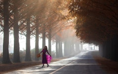 베스트갤러리 - 메타길