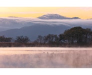 베스트갤러리 - 강가의 아침