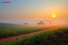 베스트갤러리 - 목장의 아침.....