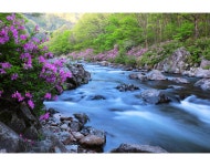 베스트갤러리 - 달궁의아침