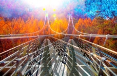 베스트갤러리 - 쌍출렁다리 ?????