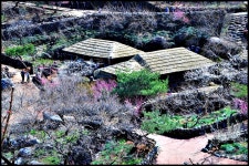 베스트갤러리 - 초가집