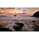 베스트갤러리 - 소 분점도