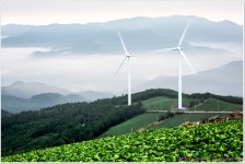 베스트갤러리 - 바람의 언덕