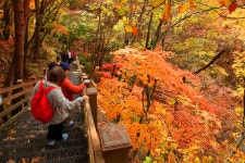 베스트갤러리 - 소요산 108계단