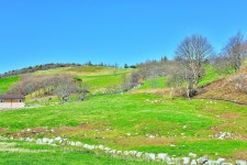 베스트갤러리 - 양때목장가을..