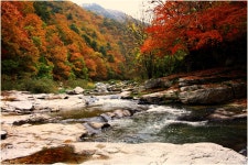 베스트갤러리 - 수타 계곡