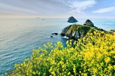 베스트갤러리 - 사월어느봄날에...