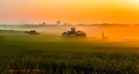 베스트갤러리 - ok목장의 아침