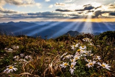 베스트갤러리 - 덕유의 일몰시간에