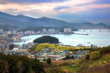 베스트갤러리 - 완도항