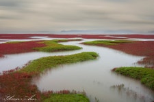 베스트갤러리 - 황산도 갯골
