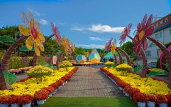 베스트갤러리 - 국화축제장으로............