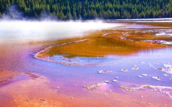 베스트갤러리 - 엘로우스톤