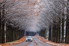 베스트갤러리 - 진안 메타길