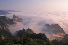 베스트갤러리 - 범봉의 운해경..