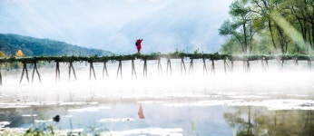 베스트갤러리 - 영월 판운에는