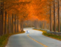 베스트갤러리 - 메타길