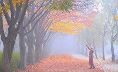 베스트갤러리 - 가을을 품은여인