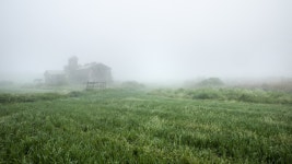 베스트갤러리 - 안성목장