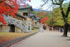 베스트갤러리 - 만추의 불국사