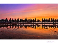 베스트갤러리 - 가로수길에서..................