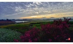 베스트갤러리 - 아침들녘