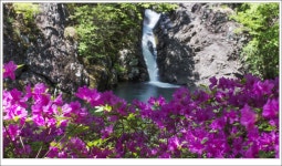 베스트갤러리 - 용소폭포