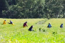 베스트갤러리 - 삶에 아름다움