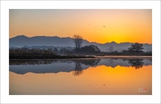 베스트갤러리 - 소목마을 나루터의 아침