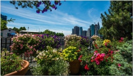 베스트갤러리 - 뉴욕 맨하탄