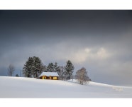 베스트갤러리 - 하이얀 세상