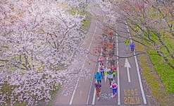 베스트갤러리 - 운동하는 사람들