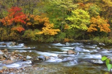 베스트갤러리 - 달궁 계곡에서