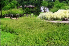 베스트갤러리 - 습지원 소경