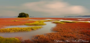 베스트갤러리 - 황산도-장노출