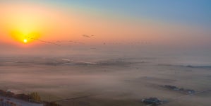 베스트갤러리 - 들녘에 아침....