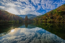 베스트갤러리 - 송곡지의 반영..