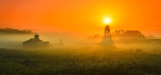 베스트갤러리 - 안성목장