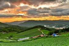 베스트갤러리 - 여명...