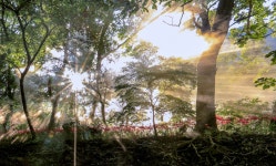 베스트갤러리 - 일출빛이 조은날에~~