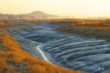 베스트갤러리 - 갯골