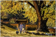 베스트갤러리 - 금시당