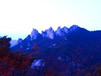 베스트갤러리 - 오봉