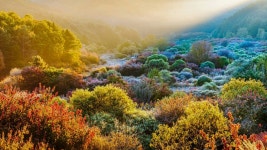 베스트갤러리 - 비밀의 정원2