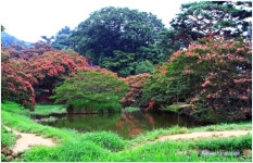 베스트갤러리 - 명옥헌 원림