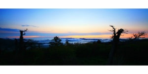 베스트갤러리 - 여명.